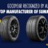 GOODYEAR Z TYTUŁEM NAJLEPSZEGO PRODUCENTA OPON LETNICH