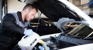 NOWOCZESNE ŚRODKI SMARNE W STRATEGIACH ZRÓWNOWAŻONEGO ROZWOJU